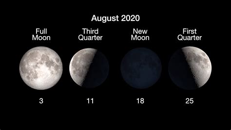 August Moon Phases 2024 - Fanya Jemimah