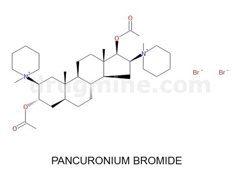 pancuronium-bromide