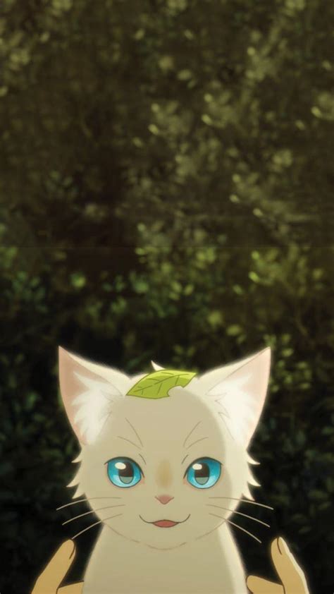 White Cat Anime Wallpapers - Top Free White Cat Anime Backgrounds - WallpaperAccess