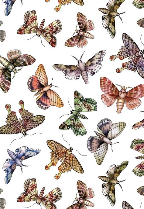 A Multitude Of Moths - Colorful Moth Pattern by somecallmebeth ...