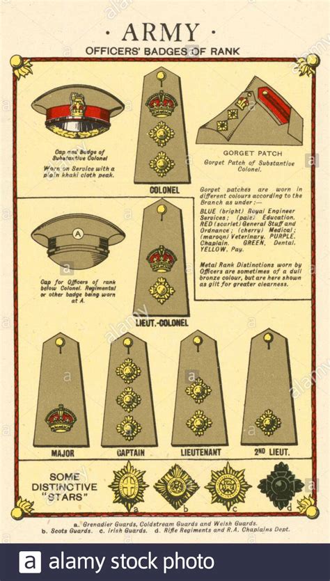 Ranks and Insignia of the British Armed Forces - Army, from WW2 information and Propaganda ...