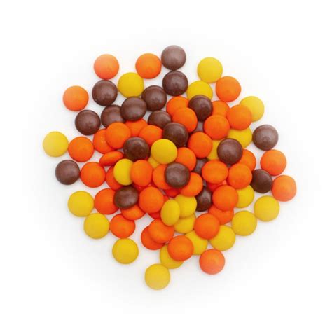 Reese's Pieces Candy in Bulk - All City Candy