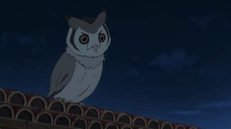 Image - Anime owl.jpg - Naruto Fanon Wiki - Ninjutsu, Taijutsu, Fan fiction