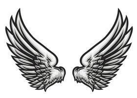 Drawings Of Eagle Wings