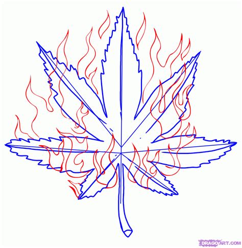 How To Draw A Weed Leaf Easy Step By Step - In this video learn the ...