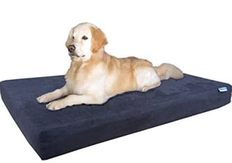 Waterproof Dog Bed | The Best Waterproof Dog Beds