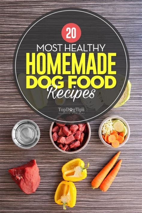 20 Most Healthy Homemade Dog Food Recipes Your Dogs Will Love