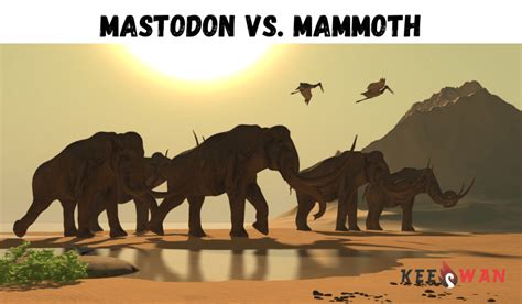 Mastodon vs. Mammoth: Unraveling the Prehistoric Giants – Keeswan