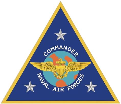 Commander, Naval Air Forces - Wikipedia