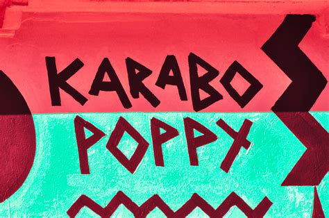 Karabo Poppy; Vuse Pattern on Behance