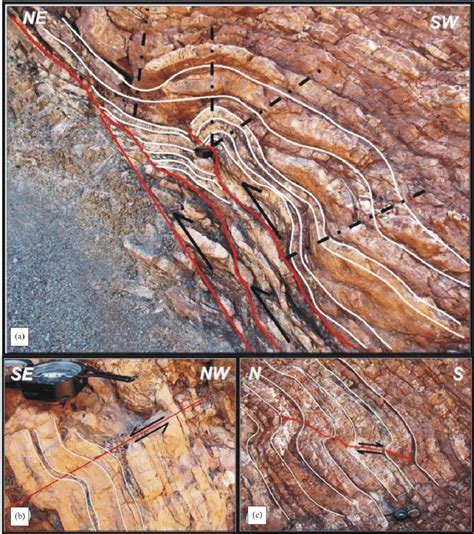 (a) A photograph from an anticlinal fold that has developed above ...