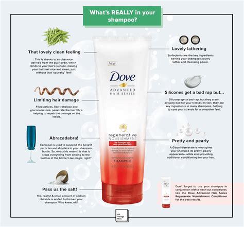 Shampoo Ingredients: The Basic Ingredients You Should Know | All Things Hair US