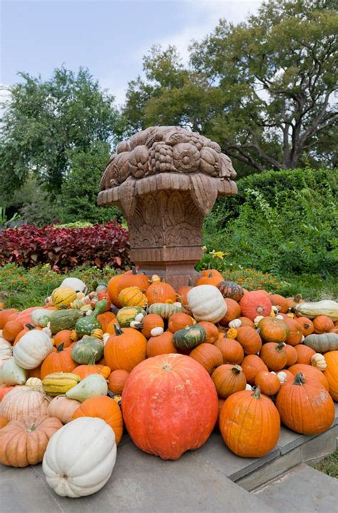 Dallas Arboretum, Autumn at the Arboretum, Fall, Garden, Pumpkins | Dallas arboretum, Autumn ...