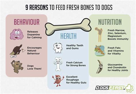 Raw Meaty Bones For Toy Dogs | Wow Blog