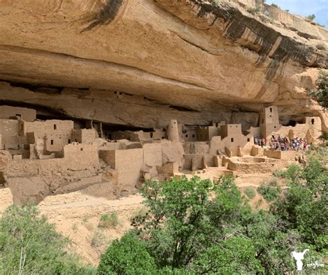 Visiting The Incredible Mesa Verde Cliff Dwellings - Uplifting Mayhem