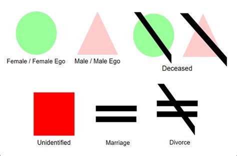 Kinship Chart Diagram Tutorial: Explain with Examples