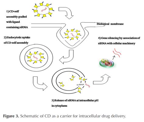 Cyclodextrin Based Nanoparticles for Drug Delivery and Theranostics - Pharma Excipients