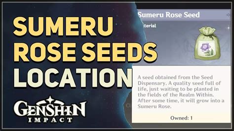 Sumeru Rose Seeds Location Genshin Impact - Hiijo