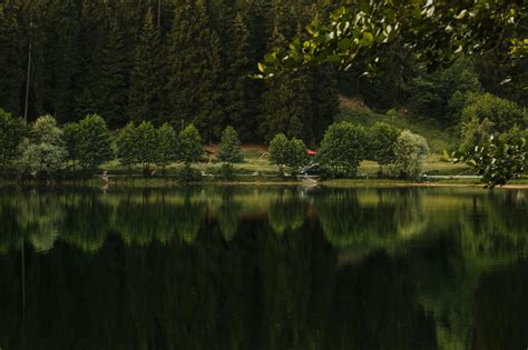 Reflection of Trees on a Calm Lake · Free Stock Photo