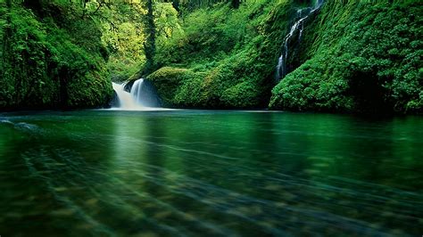 25 Top wallpaper for desktop nature beauty You Can Save It For Free ...