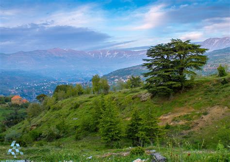 We Are Lebanon | Natural landmarks, Places to visit, Landscape