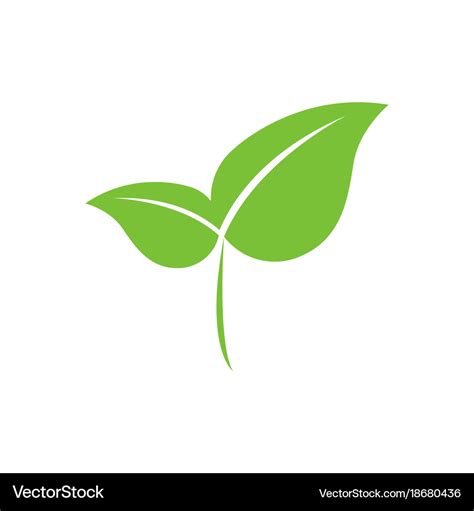 Eco-friendly green leaf Royalty Free Vector Image