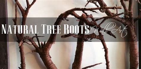 Framed Natural Tree Roots | Redo It Yourself Inspirations : Framed Natural Tree Roots