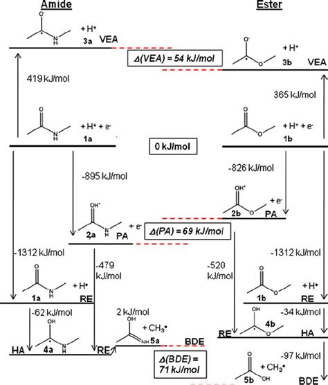 Thermodynamic calculations of the proton affinity (PA), vertical... | Download Scientific Diagram