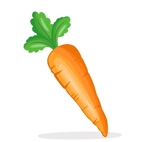 fresh single carrot vegetable illustration 14322784 PNG