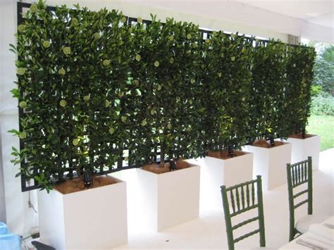 Plant & Ornament Hire | Jardines verticales, Jardines, Hierbas ornamentales