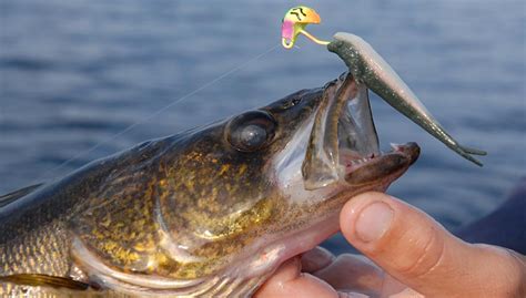 10 Tips for Algoma Walleye Fishing - Algoma, Ontario Canada