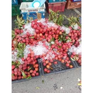 BUAH LAICI SEGAR/LAICY FRUIT 1 KILO | Shopee Malaysia