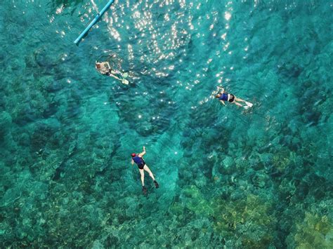 Practice Snorkeling in Kauai, Hawaii | Villas at Poipu Kai