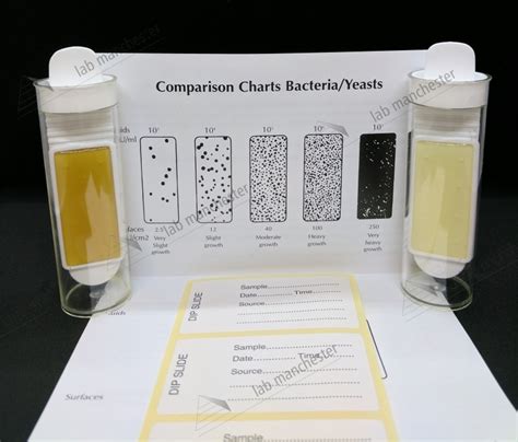 Plate Count Agar Vs Nutrient Agar