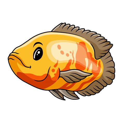 20+ Oscar Fish Stock Illustrations, Royalty-Free Vector Graphics & Clip Art - iStock