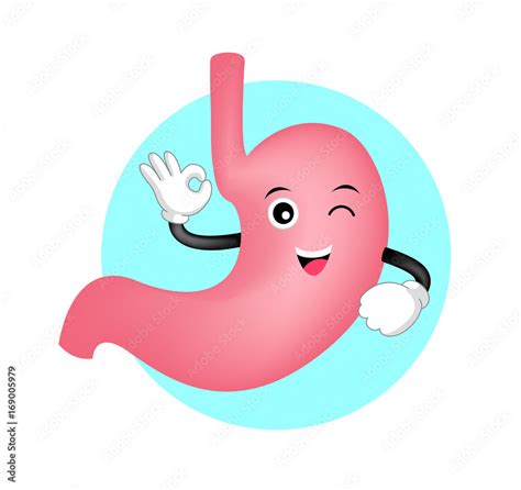 cute cartoon stomach showing OK hand sign. Funny internal organ characters, illustration. Stock ...