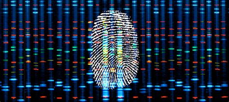 DNA fingerprinting | Definition, uses and how it works | INTEGRA