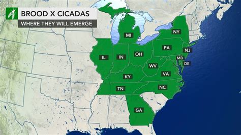 2021 cicada map: These 15 states are most likely to see Brood X cicadas invasion soon ...