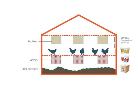 An effective fly control campaign is essential - Interhatch