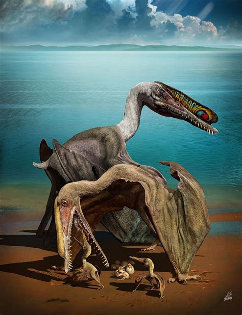 What 215 pterosaur eggs can tell us about the lives of these prehistoric flying reptiles - The Verge