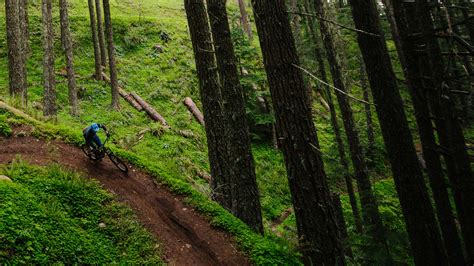 Mountain Bikes | Steed Cycles, North Vancouver