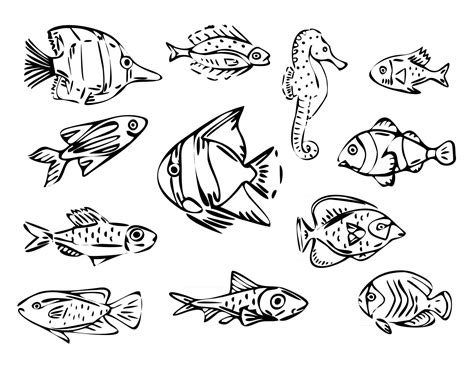 Vector fish line art illustration set, black outline illustration ...