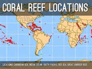 Map Red Sea Coral Reef