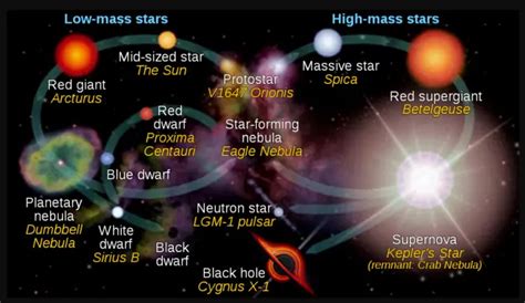 Life Cycle Of A White Dwarf Star