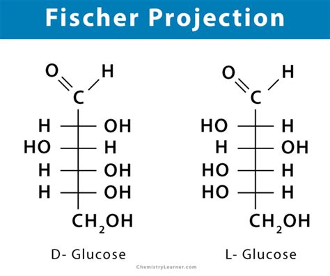 draw the fischer projection for l-glucose - inemmiscage