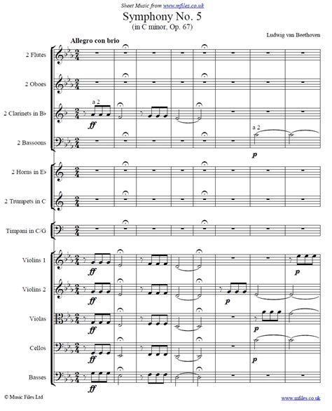 Ludwig van Beethoven : 5th Symphony - 1st movement : Orchestral Sheet Music Score and Parts ...