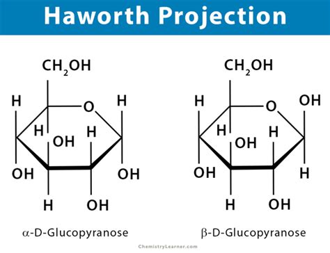 Haworth Projection: Definition, Illustration, and Examples