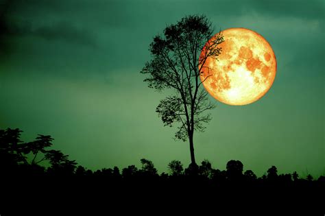 Skywatchers: Harvest full moon, the last supermoon for 2023