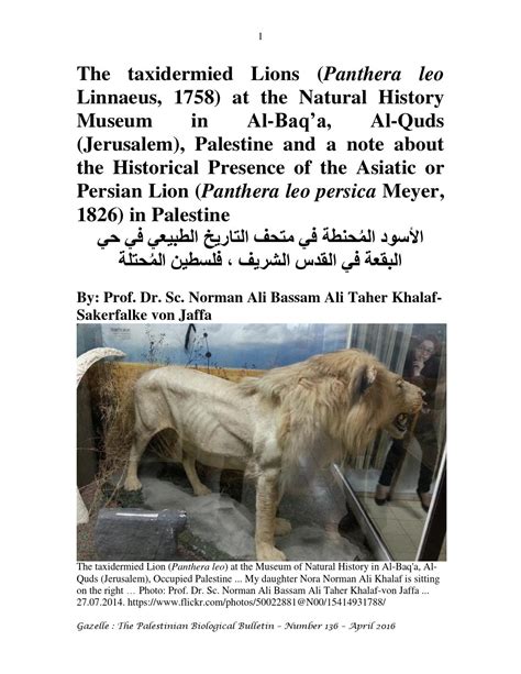 The Zoological Natural History Museum, Oromia Region (+251 11 157 1677)