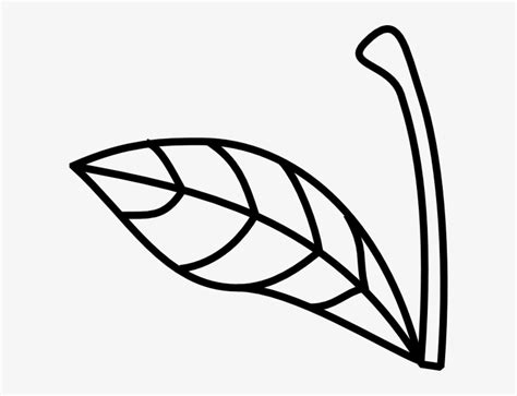 Apple Stem Leaf Clip Art - Apple Stem And Leaf Transparent PNG - 600x548 - Free Download on NicePNG